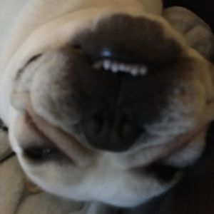 Meet your Posher, Barbara